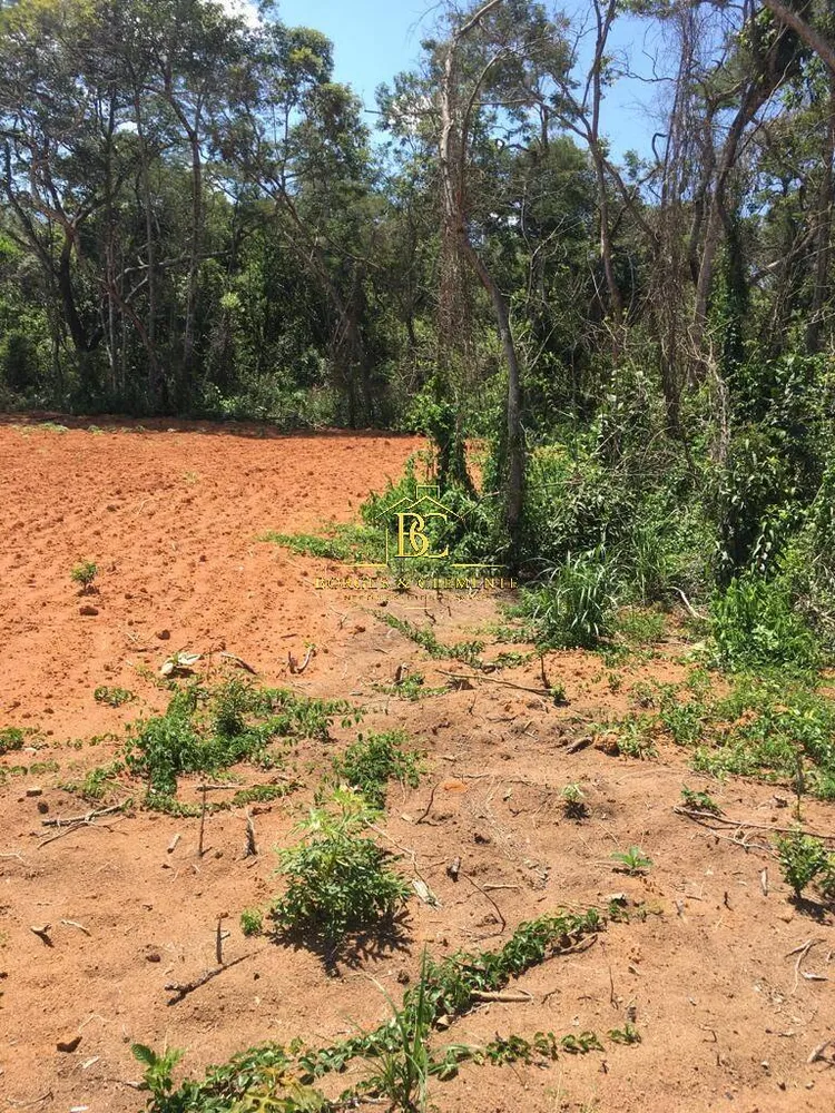 Terreno, 5 hectares - Foto 7