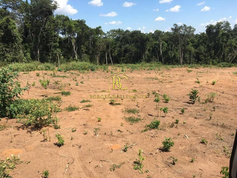Terreno, 5 hectares - Foto 6