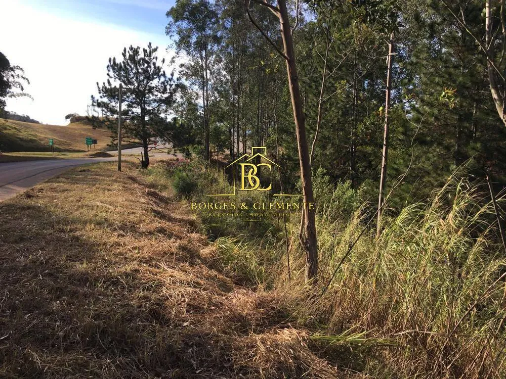 Terreno, 4 hectares - Foto 3