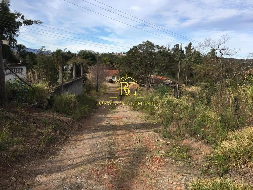 Terreno, 4 hectares - Foto 7