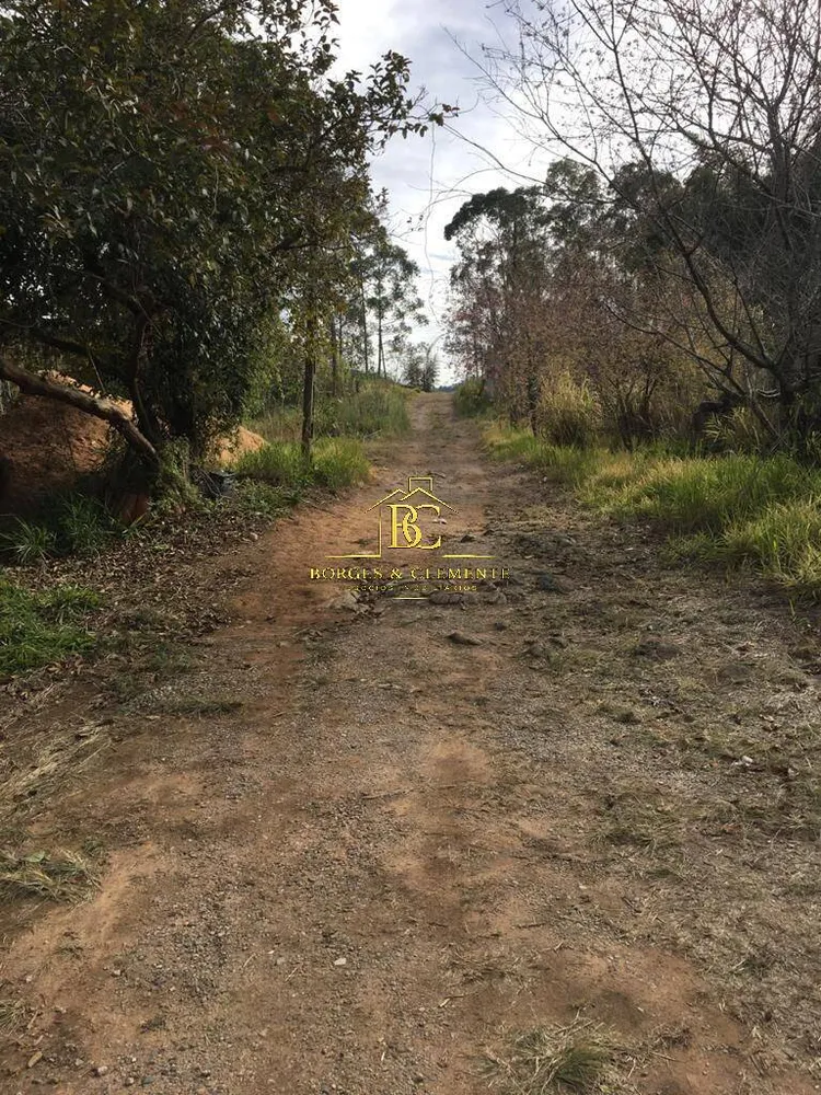 Terreno, 4 hectares - Foto 1
