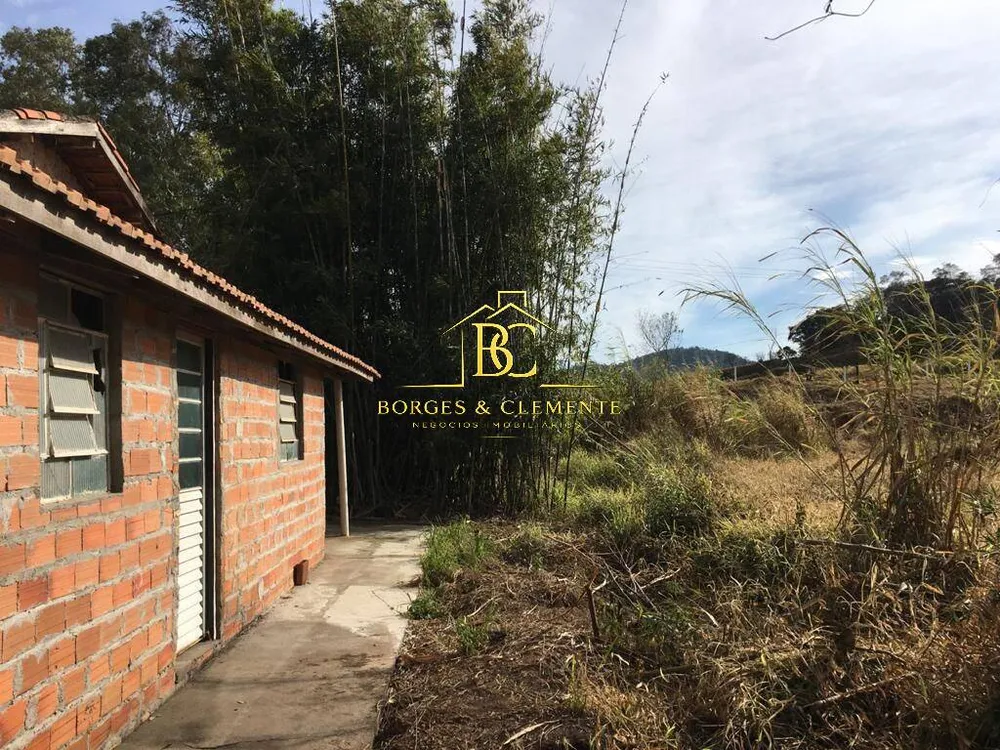 Terreno, 4 hectares - Foto 4