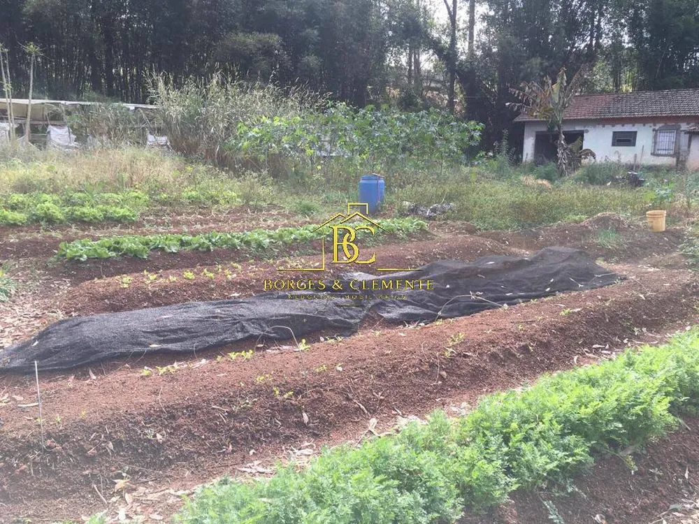 Terreno, 4 hectares - Foto 8