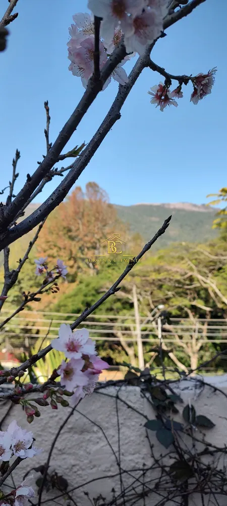 Casa, 4 quartos, 377 m² - Foto 11