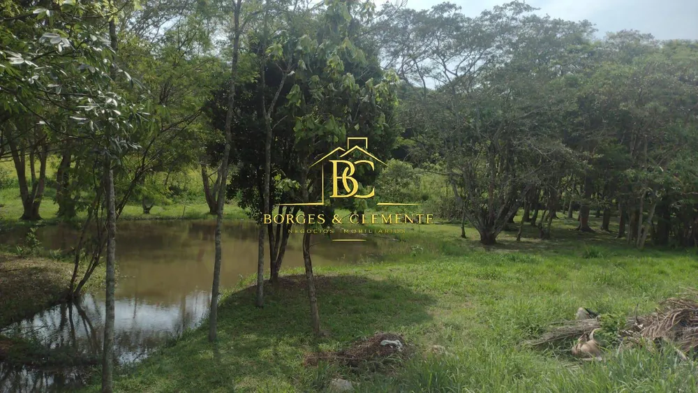 Sítio, 5 quartos, 4 hectares - Foto 1