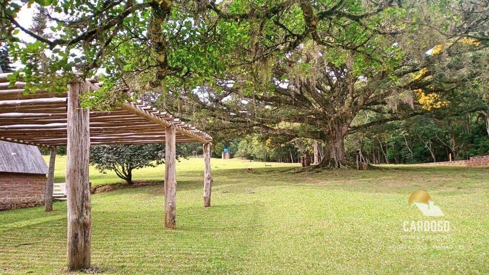 Sítio, 25 hectares - Foto 3