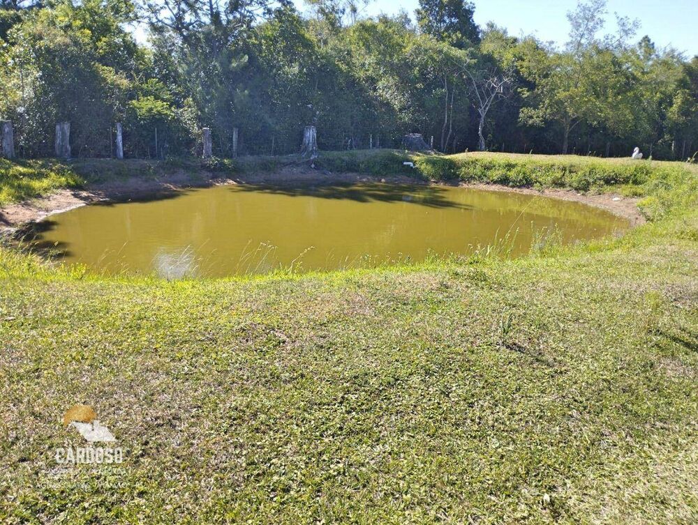 Sítio, 10000 m² - Foto 6