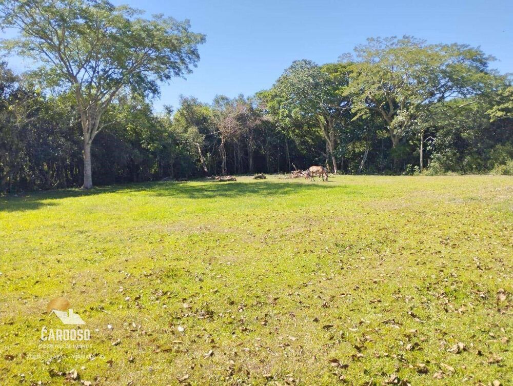 Sítio, 10000 m² - Foto 8