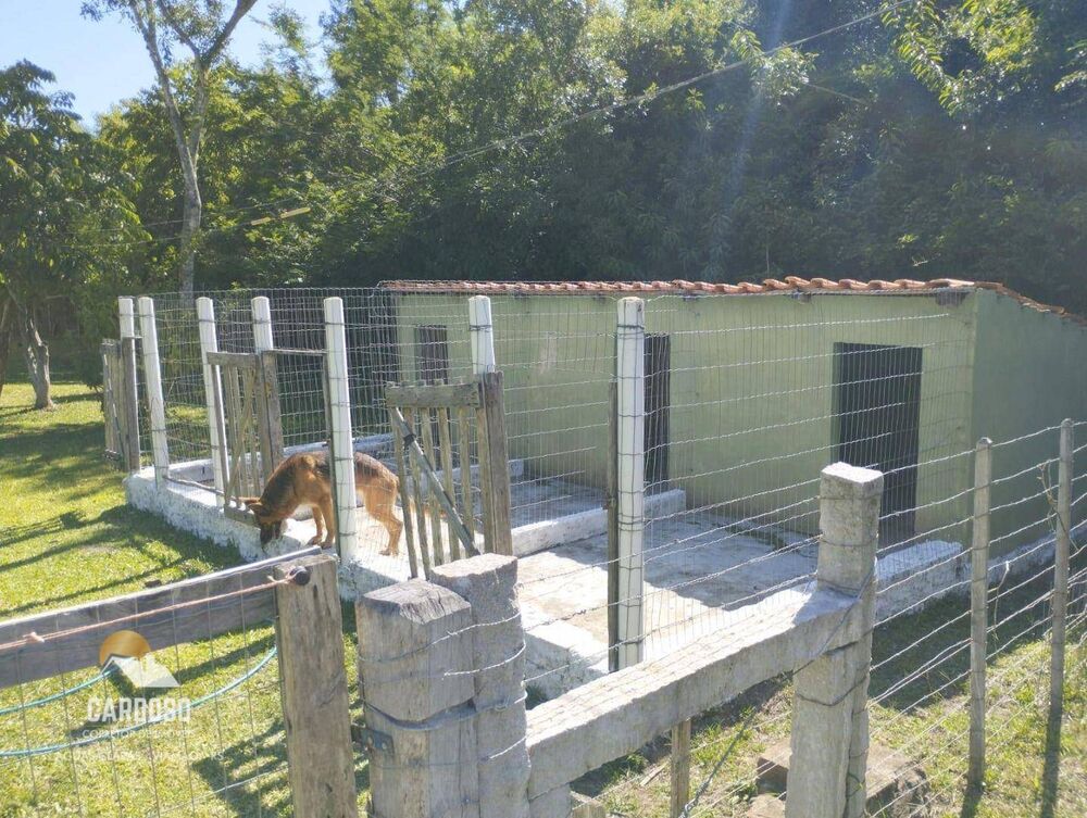 Sítio, 10000 m² - Foto 10