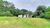 Fazenda-Sítio-Chácara, 462 hectares - Foto 16