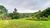 Fazenda, 462 hectares - Foto 3