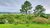 Fazenda, 462 hectares - Foto 1