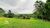 Fazenda-Sítio-Chácara, 462 hectares - Foto 13