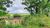 Fazenda-Sítio-Chácara, 462 hectares - Foto 14