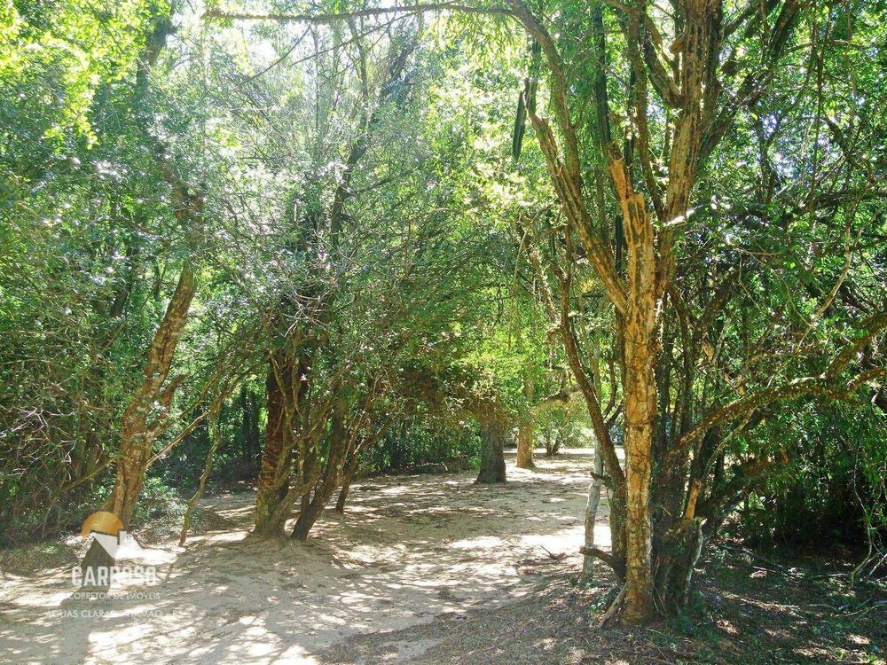 Sítio, 3 quartos, 1000 m² - Foto 27