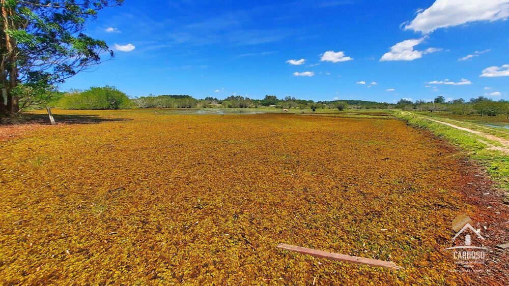 Sítio, 8 hectares - Foto 4
