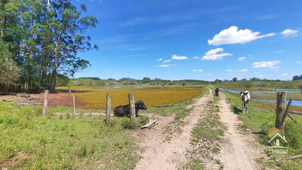 Sítio, 8 hectares - Foto 3