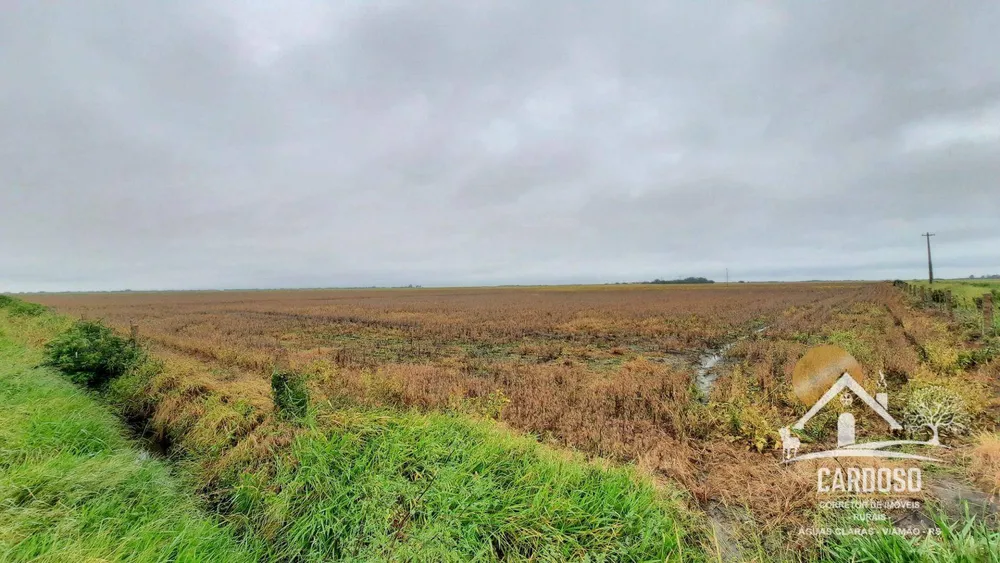 Fazenda, 183 hectares - Foto 4
