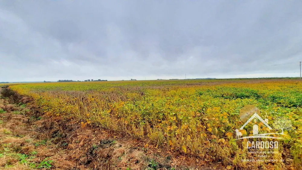 Fazenda, 183 hectares - Foto 2