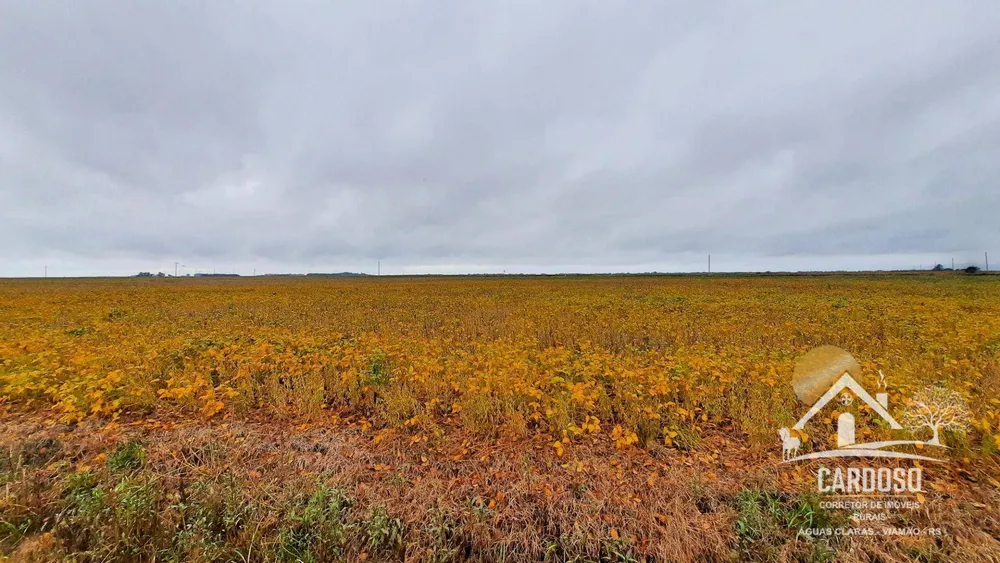Fazenda, 183 hectares - Foto 3