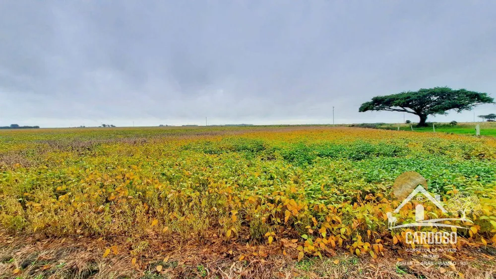 Fazenda, 183 hectares - Foto 1
