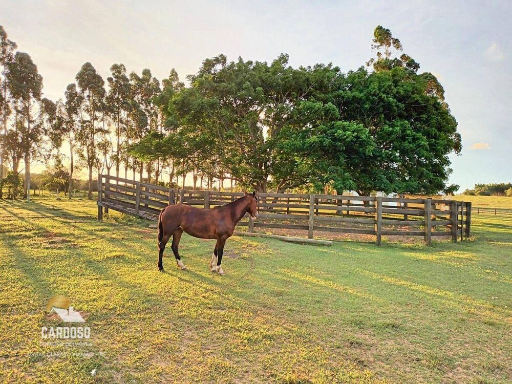Haras e Área Rural Padrão à venda, 20000M2 - Foto 1