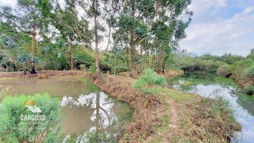 Sítio, 2 hectares - Foto 4