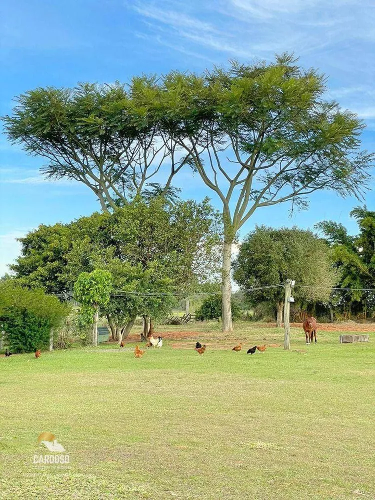 Sítio, 4 hectares - Foto 4