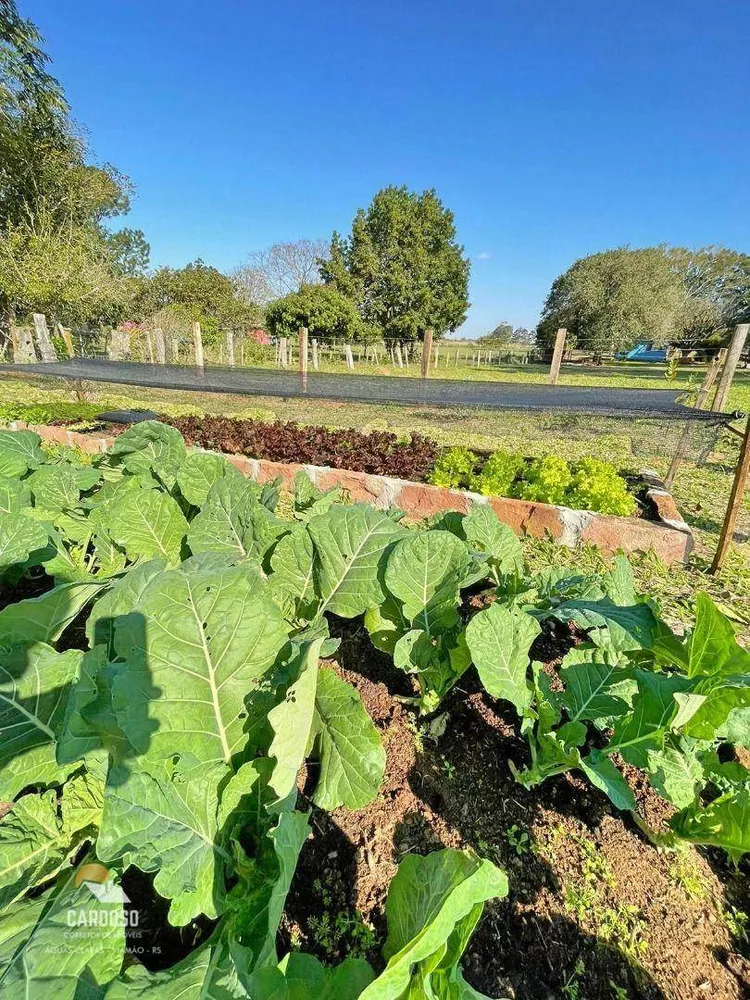 Sítio, 4 hectares - Foto 7