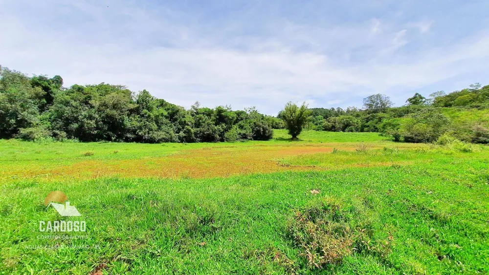 Sítio, 12 hectares - Foto 4