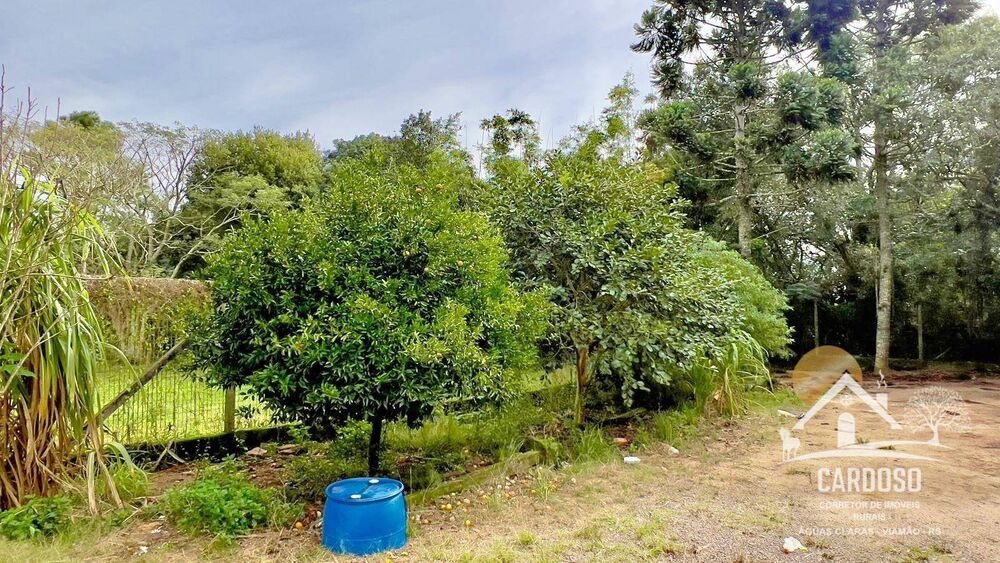 Sítio, 3 quartos, 3000 m² - Foto 7