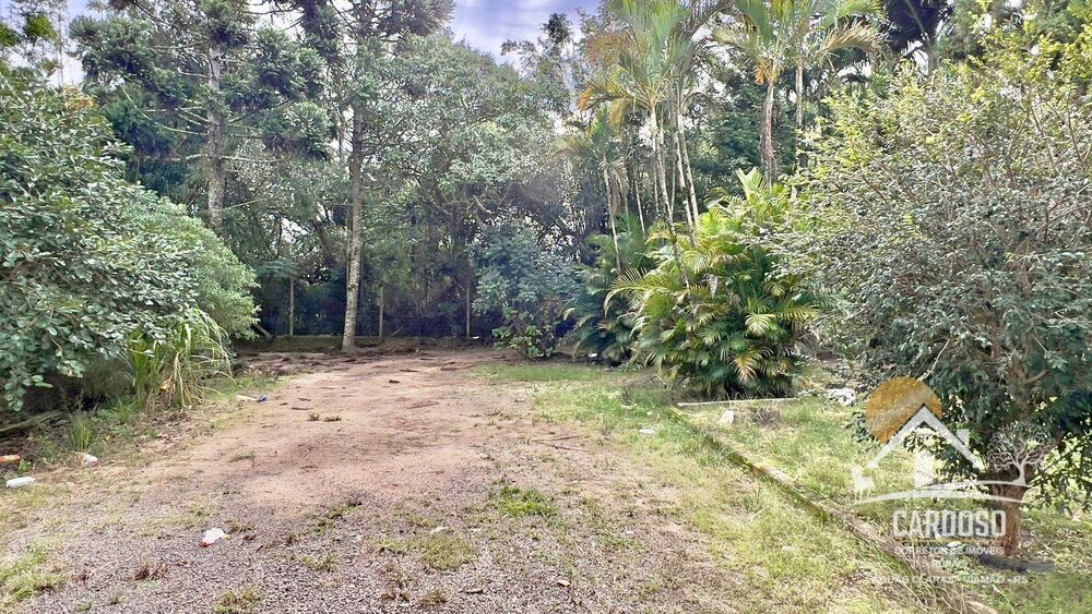 Sítio, 3 quartos, 3000 m² - Foto 5