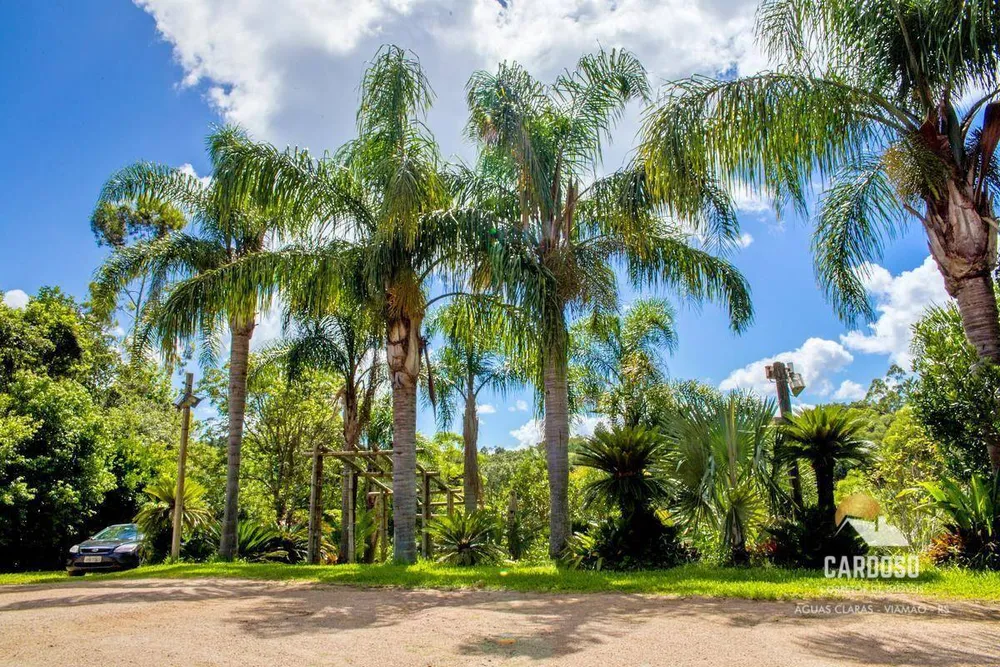 Sítio, 6 quartos, 3 hectares - Foto 3
