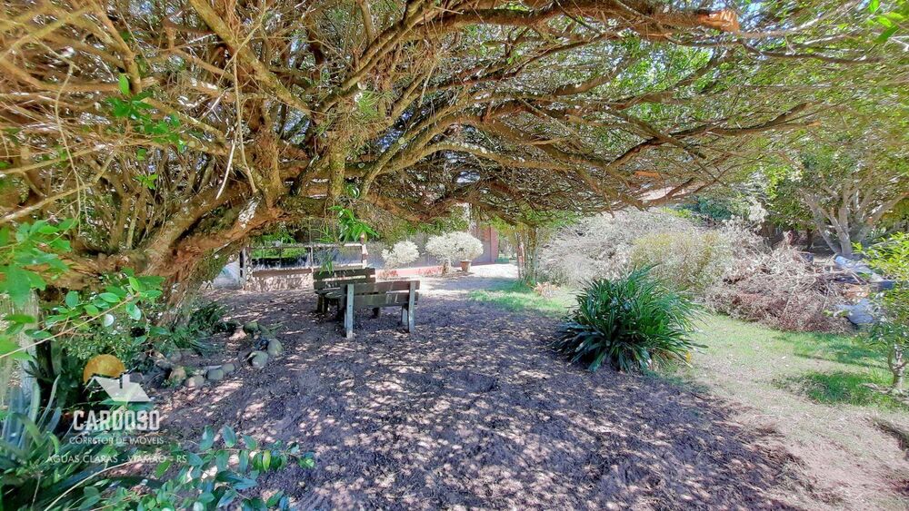 Sítio, 2 quartos, 1290 m² - Foto 3