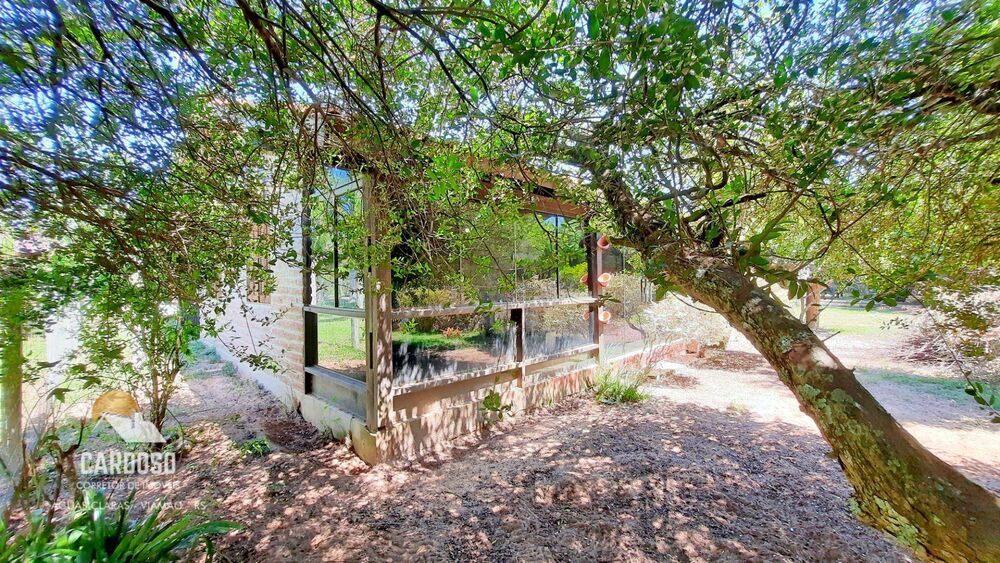 Sítio, 2 quartos, 1290 m² - Foto 2