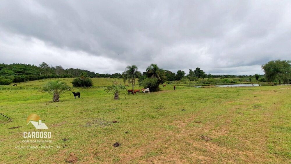 Sítio, 5 hectares - Foto 4