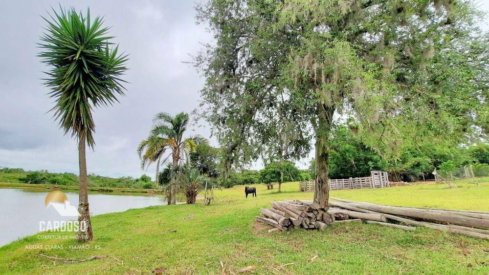 Sítio, 5 hectares - Foto 1