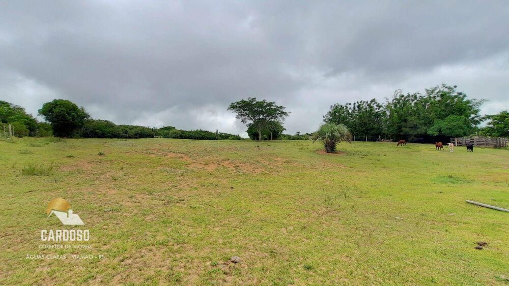 Sítio, 5 hectares - Foto 6