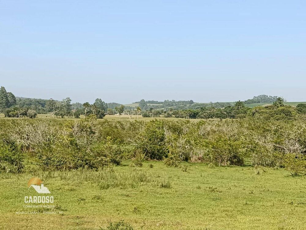 Fazenda, 50 hectares - Foto 4