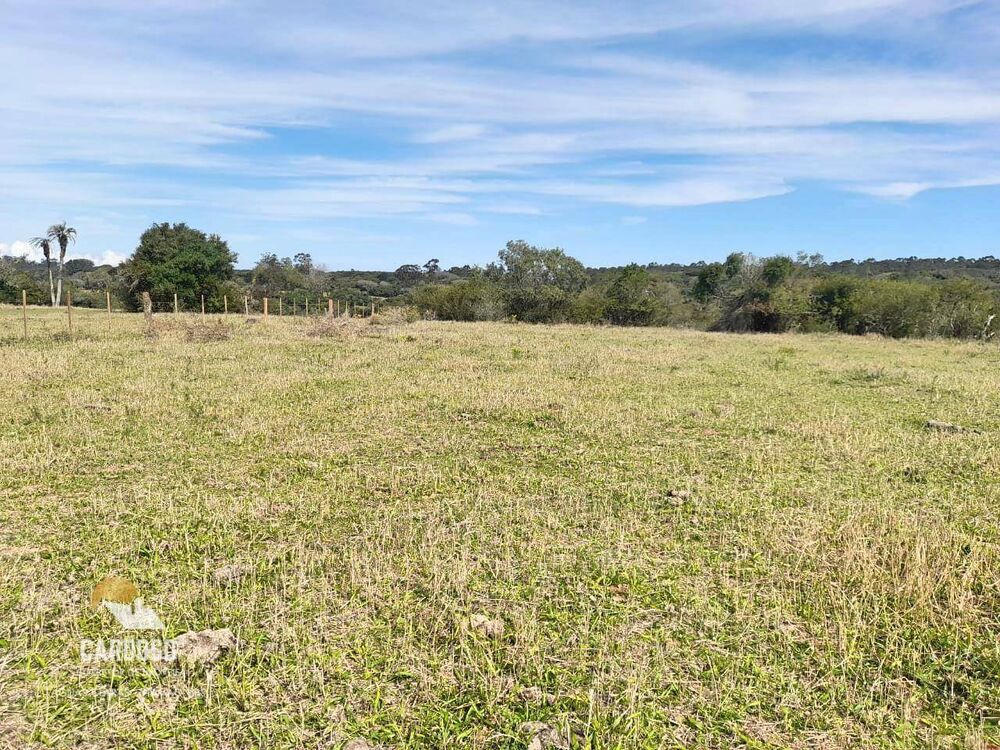Fazenda, 50 hectares - Foto 3