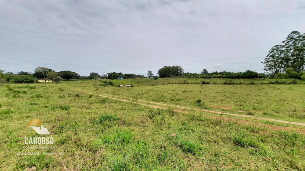 Sítio, 4 hectares - Foto 4