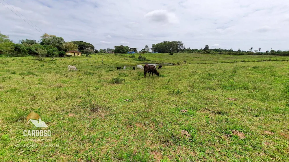 Sítio, 4 hectares - Foto 1