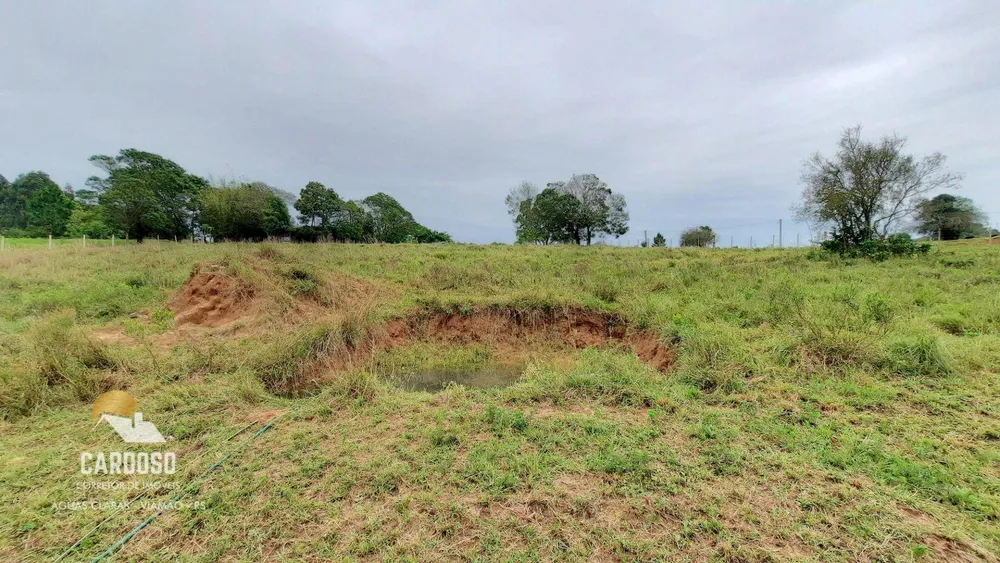 Sítio, 2 hectares - Foto 4