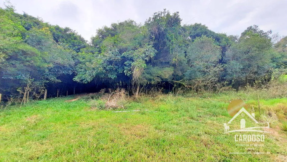 Sítio, 3 quartos, 2 hectares - Foto 17