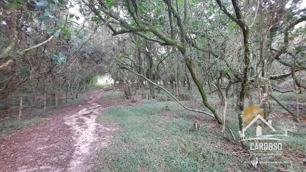 Sítio, 3 quartos, 2 hectares - Foto 16