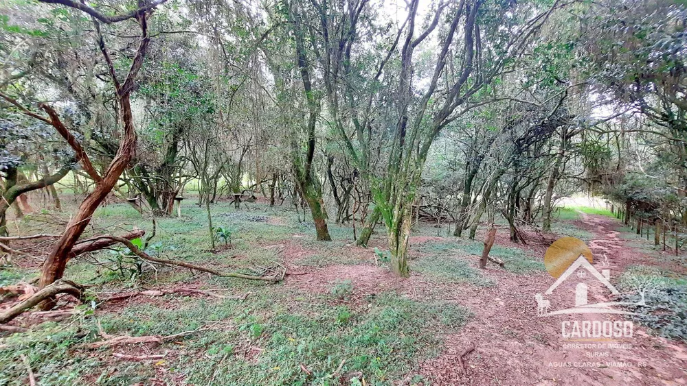 Sítio, 3 quartos, 2 hectares - Foto 15