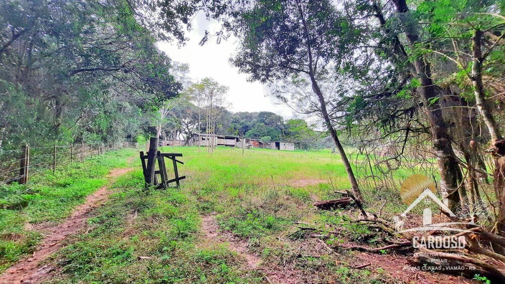 Sítio, 3 quartos, 2 hectares - Foto 10