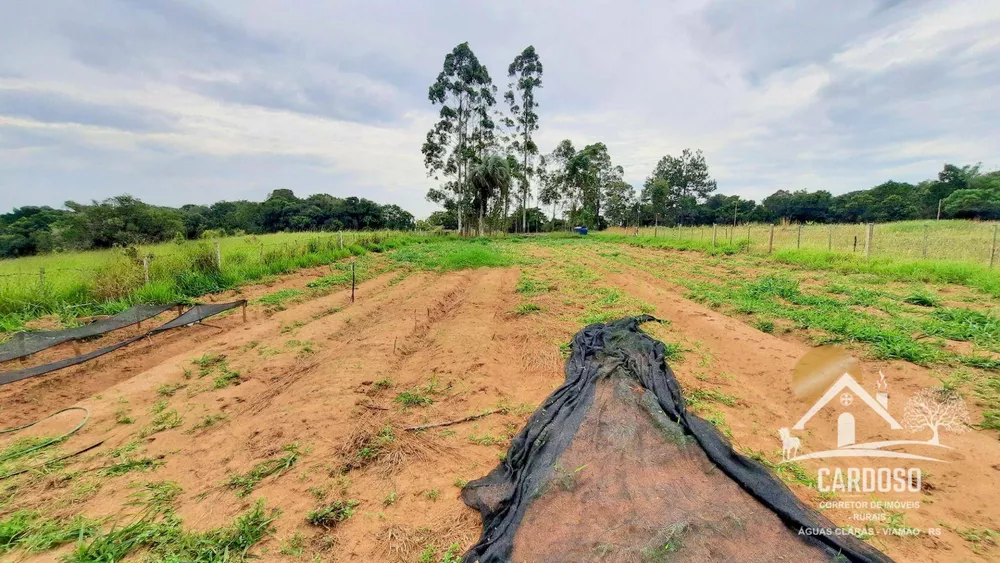 Sítio, 3 quartos, 2 hectares - Foto 20