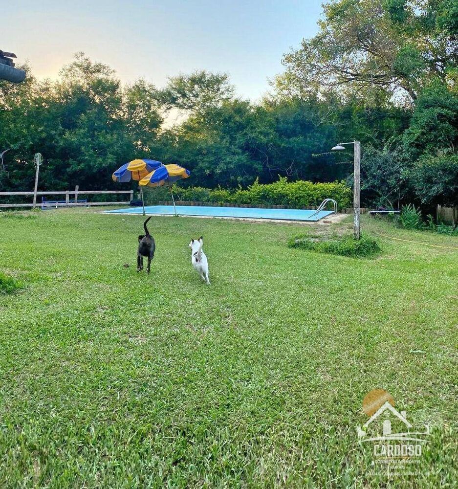 Sítio, 3 quartos, 2 hectares - Foto 6