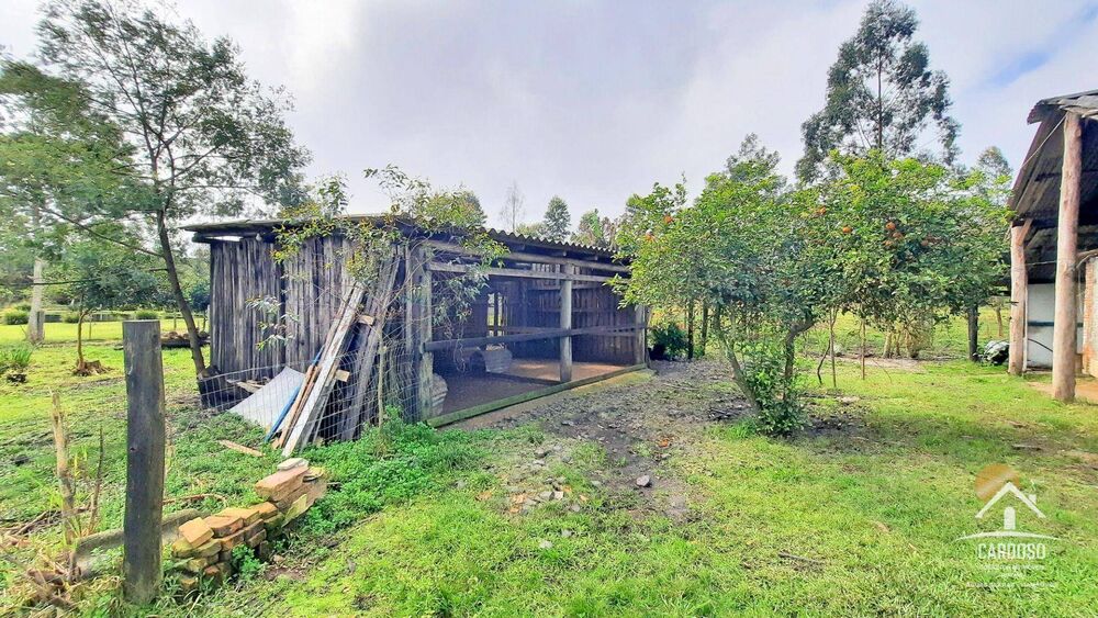 Sítio, 2 hectares - Foto 3